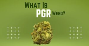 pgr weed