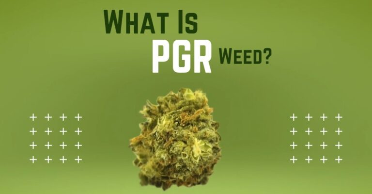 What Is PGR Weed? - What It Is, and How to Tell